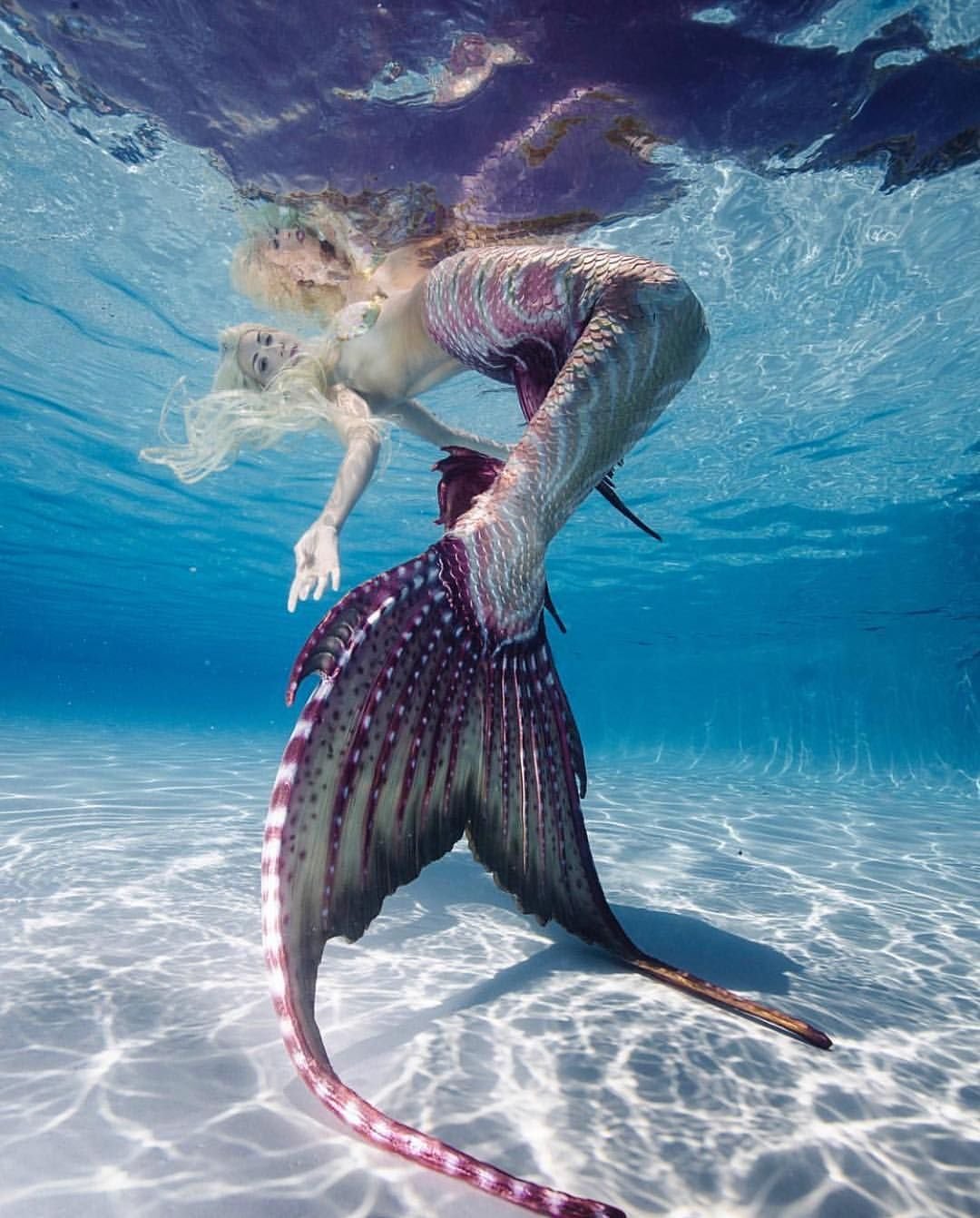 Надя Весси Русалка