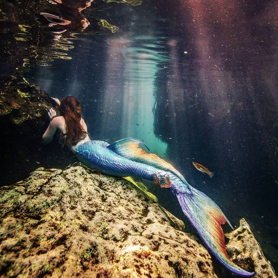 Русалка Живая