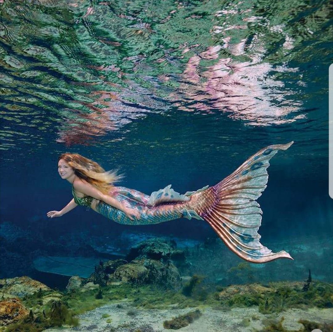 Русалки настоящие красивые