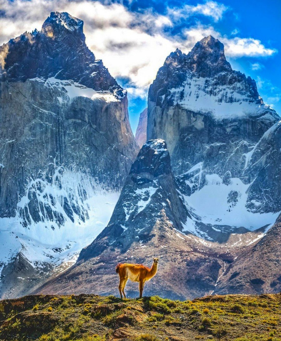 Аргентина Лионель Месси обои