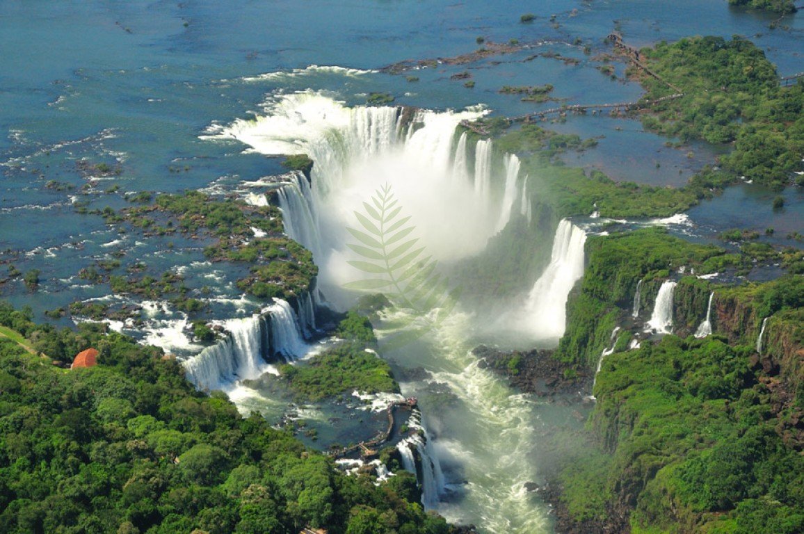 Месси с флагом Аргентины