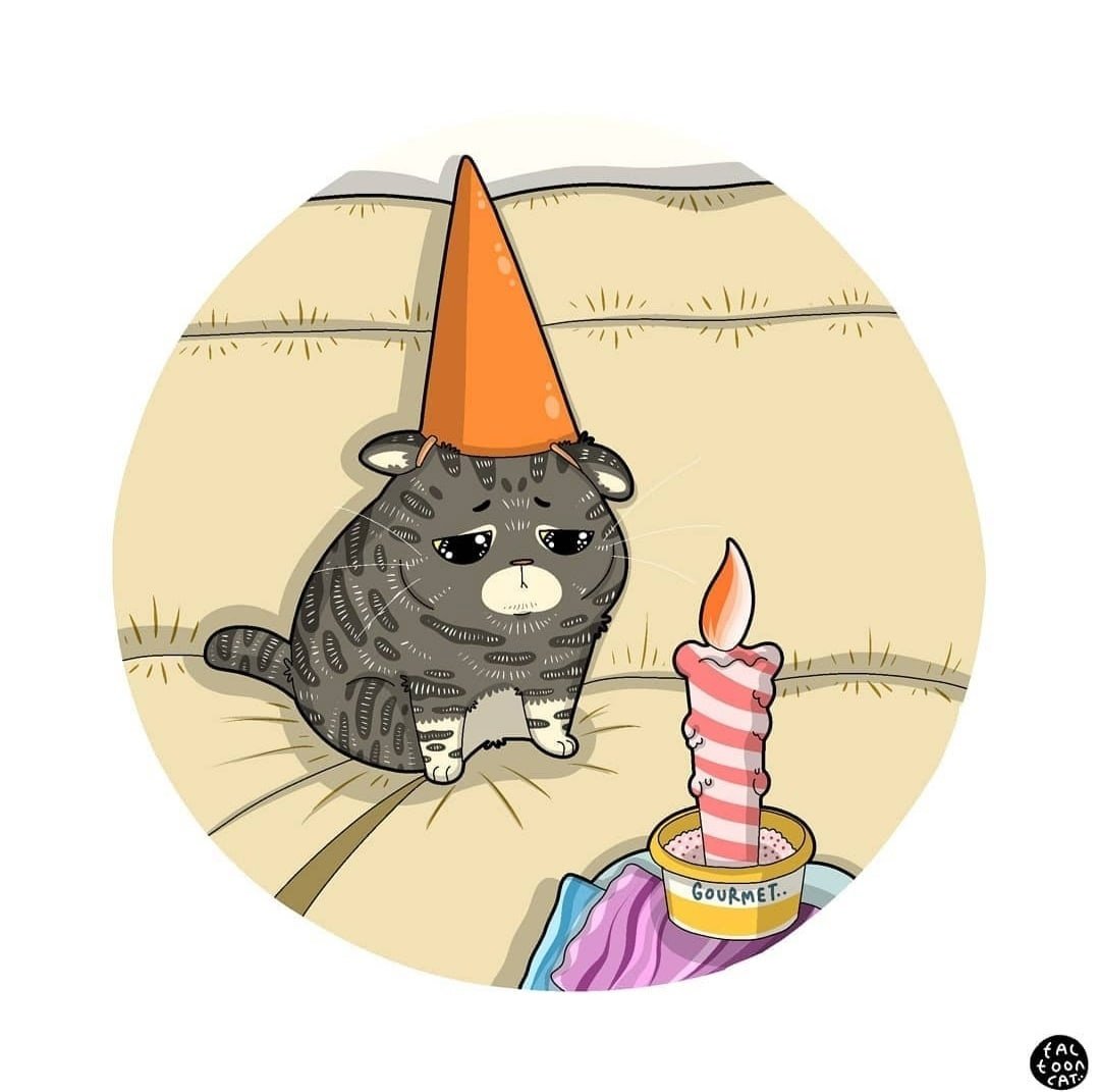 Праздничный кот