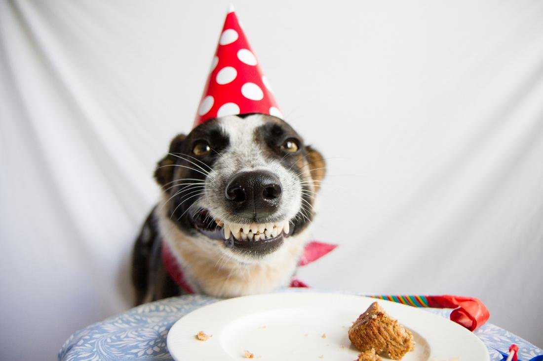 Грустный праздник