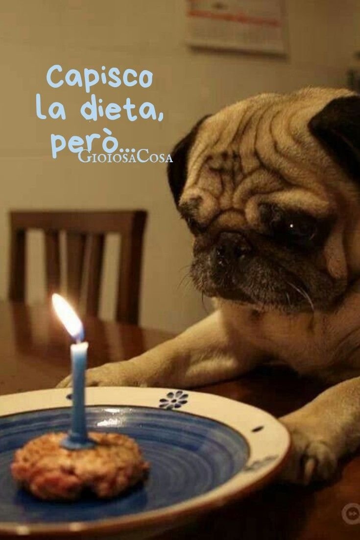 Скрыпников Андрей Дмитриевич Хабаровск