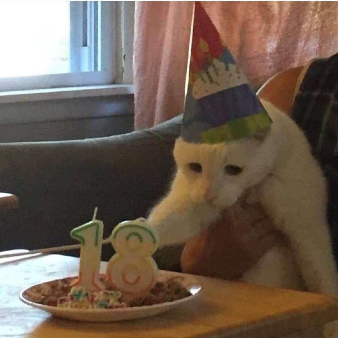 40 Лет день рождения