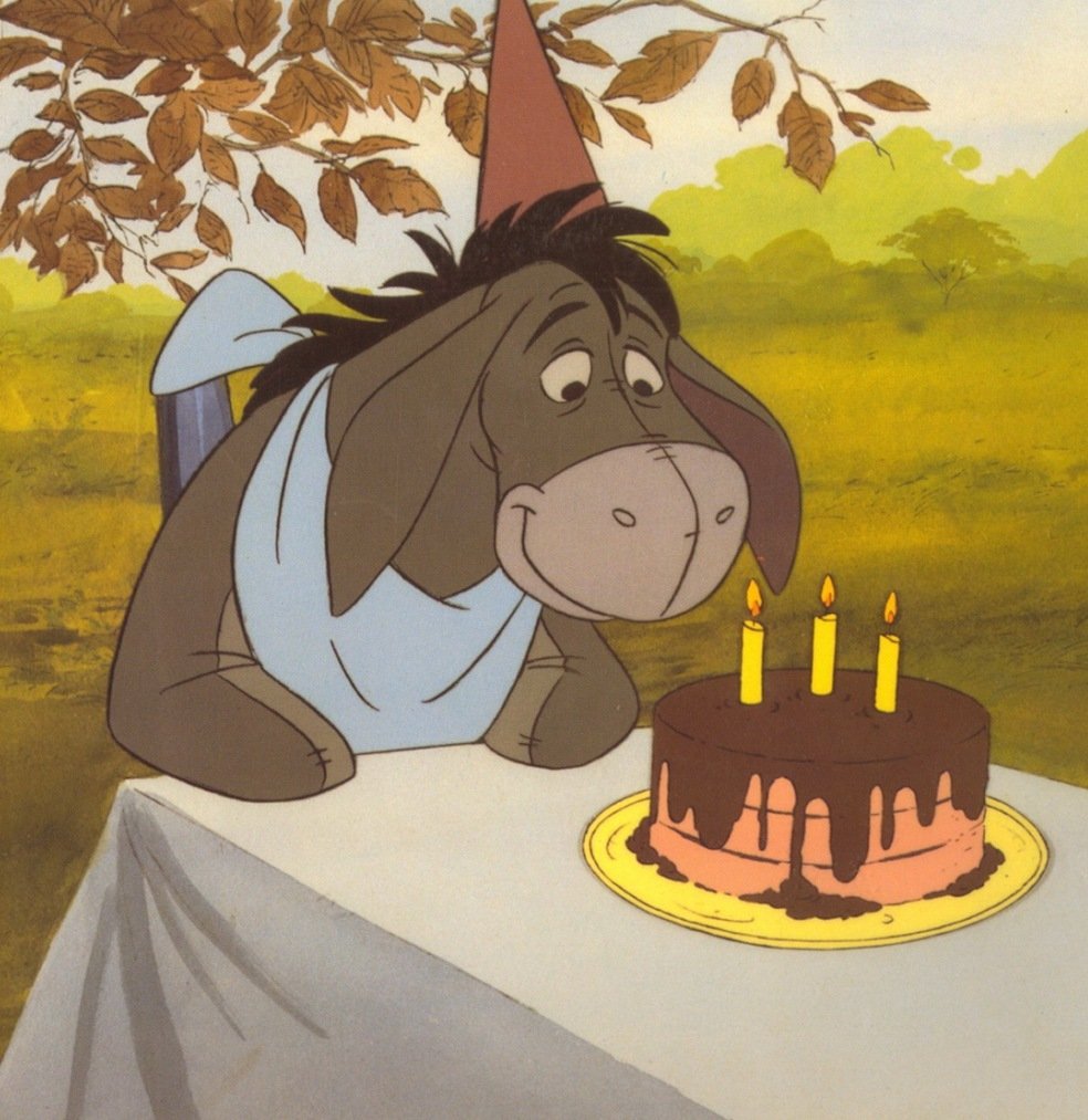 Милый котик