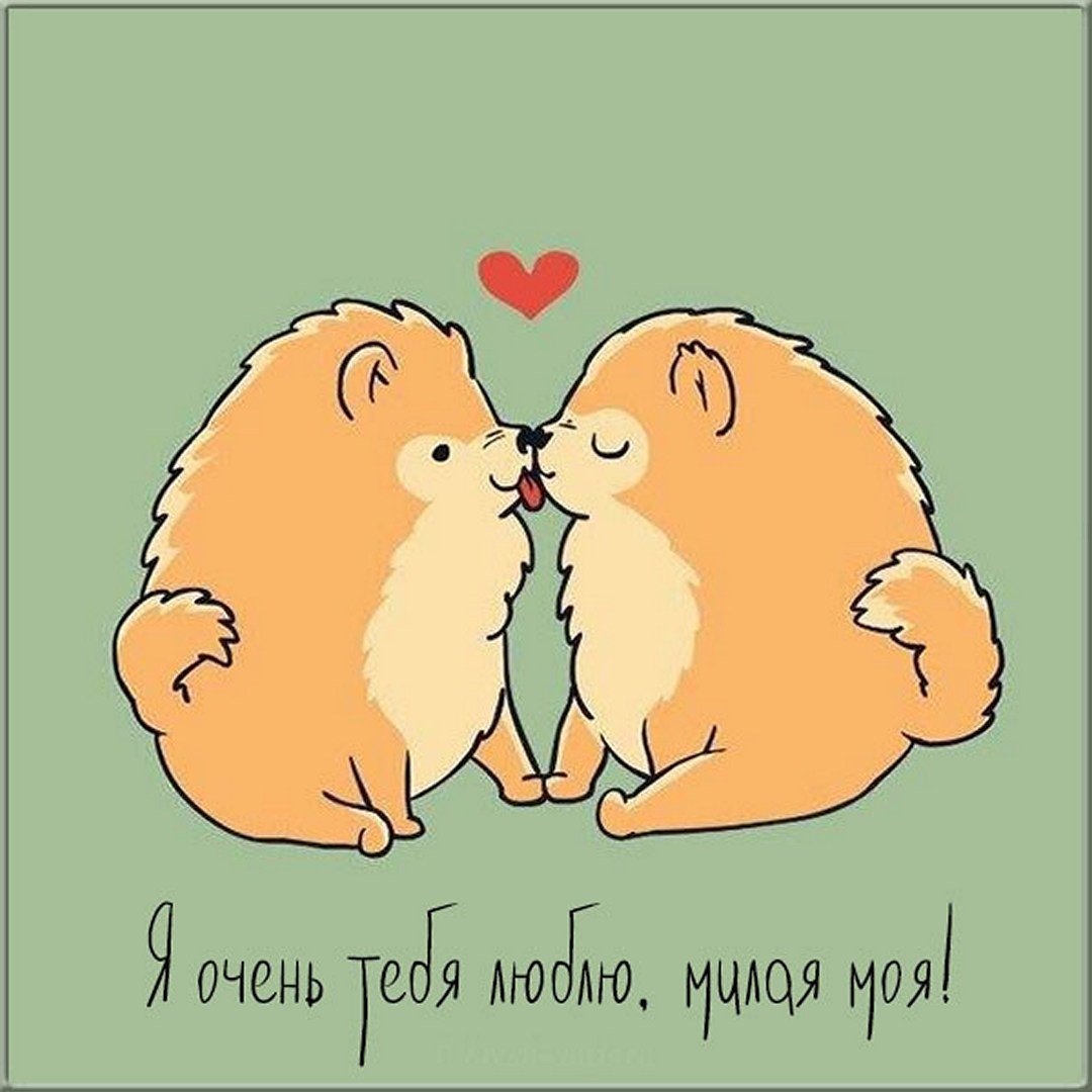 Влюбленные животные нарисованные