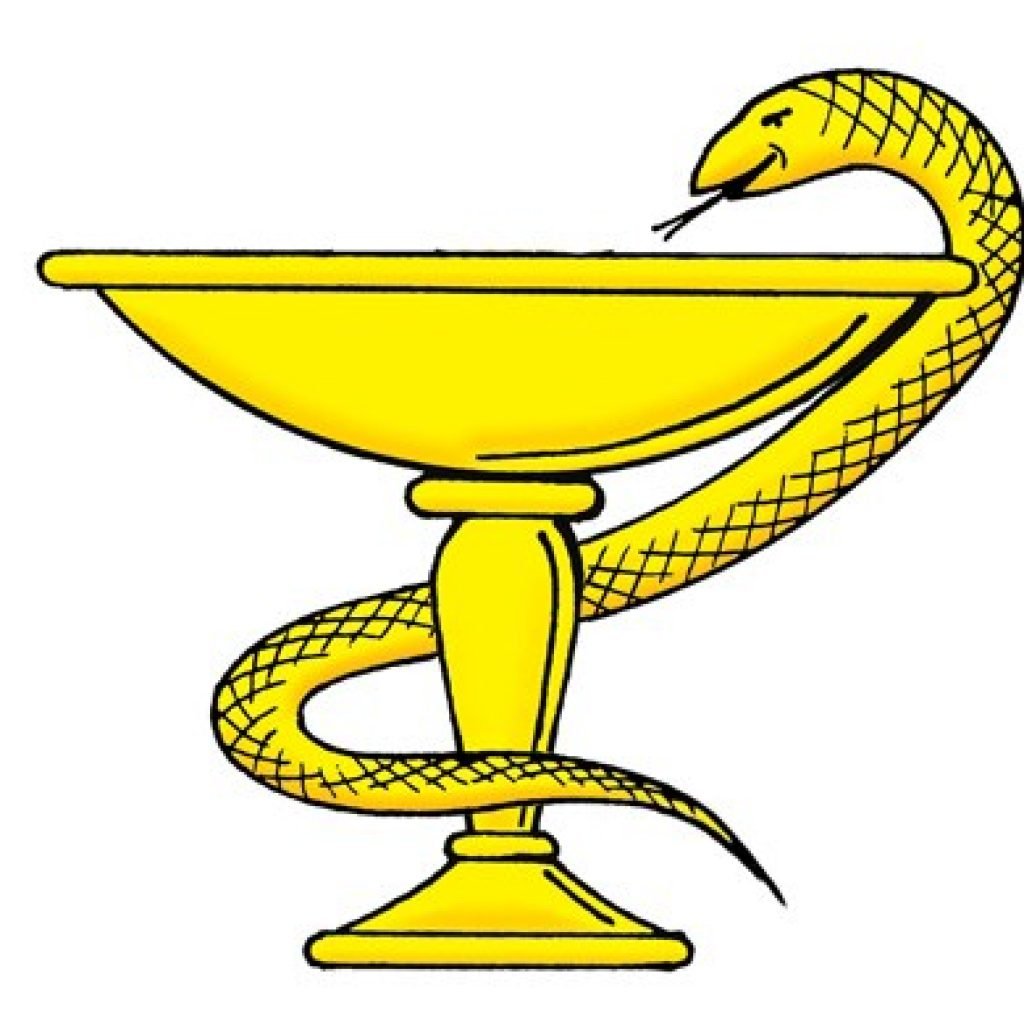 Медицинский символ змея и чаша