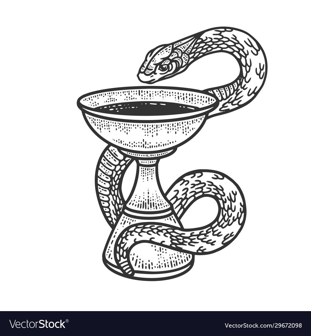 Чаша Гиппократа две змеи