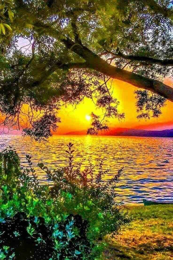 Чудесная природа