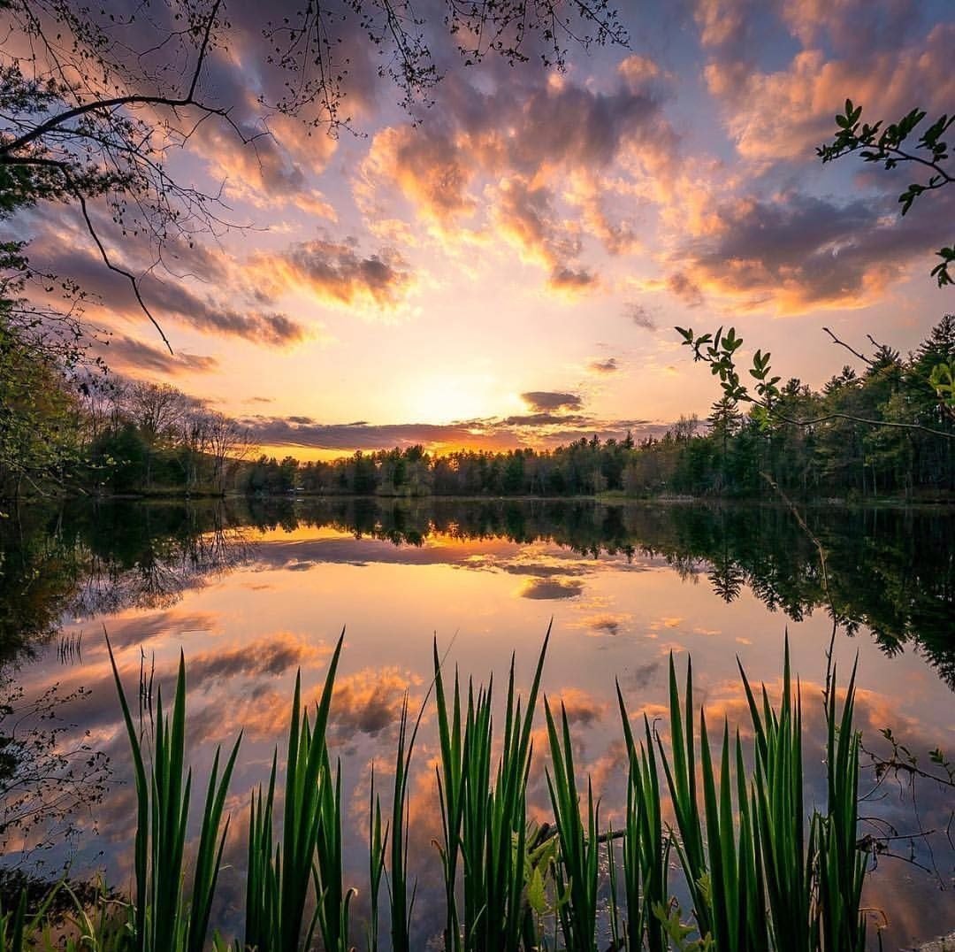 Добрый вечер картинки с природой