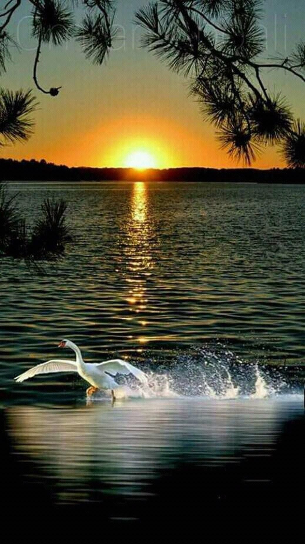 Красивый закат спокойной ночи