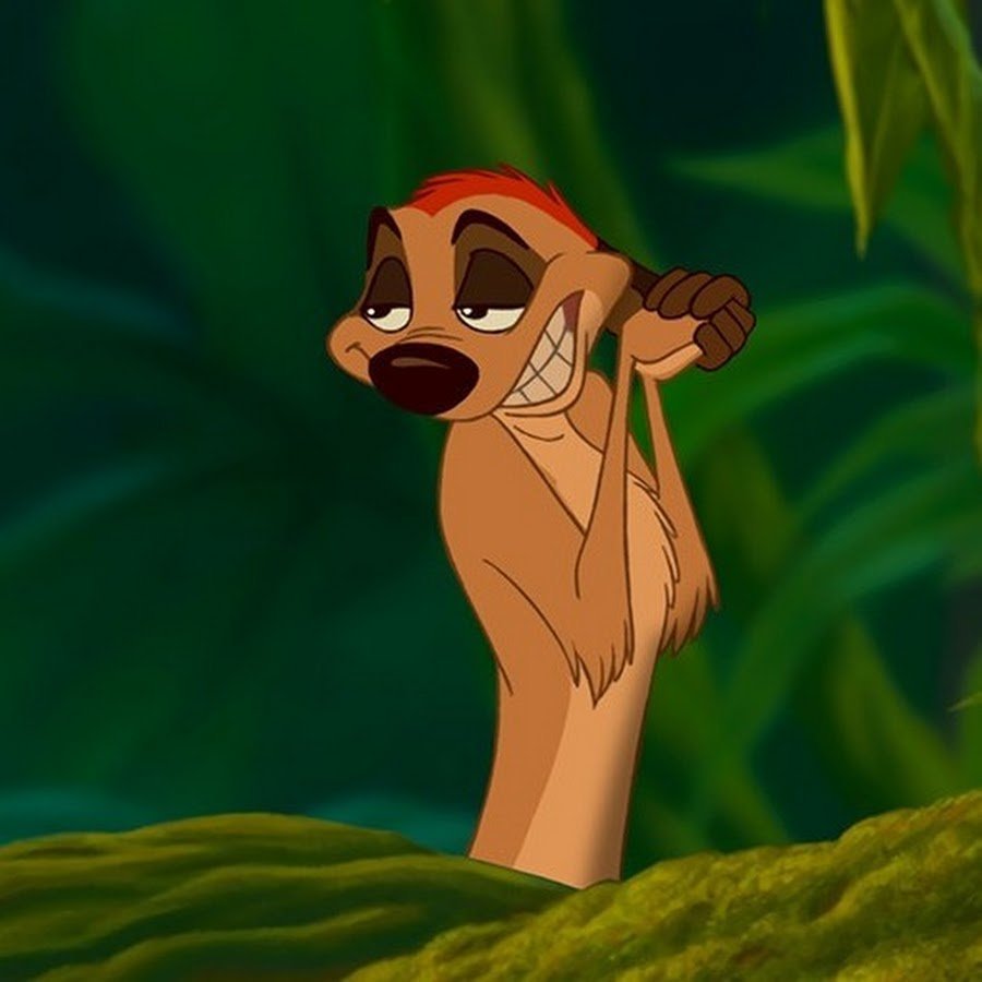 Тимон из короля Льва