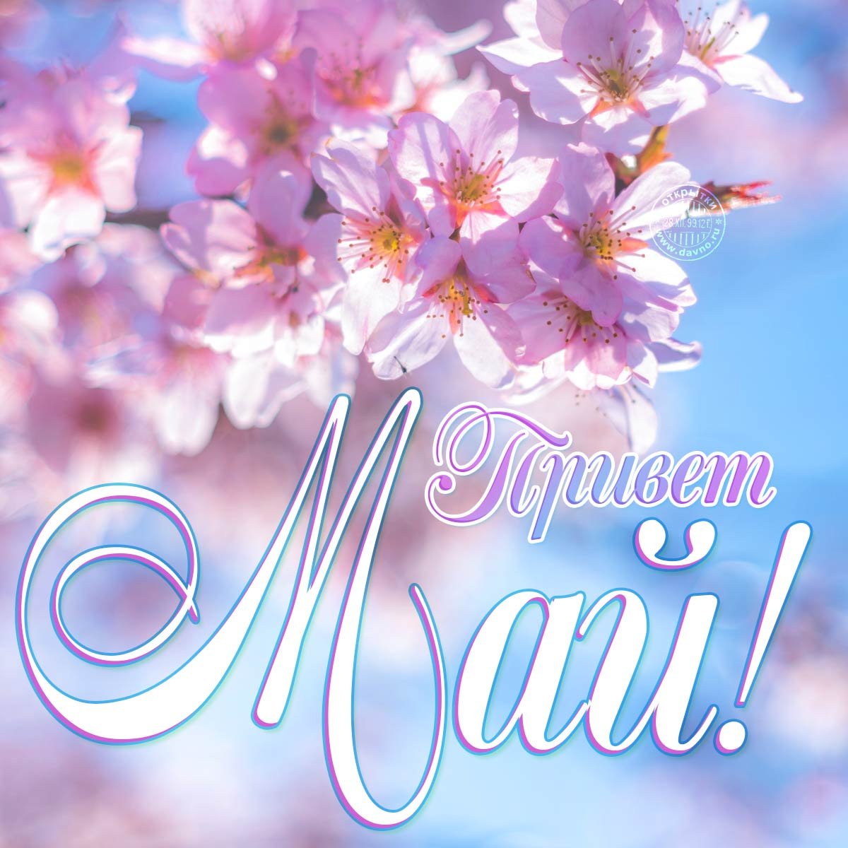 С днем рождения