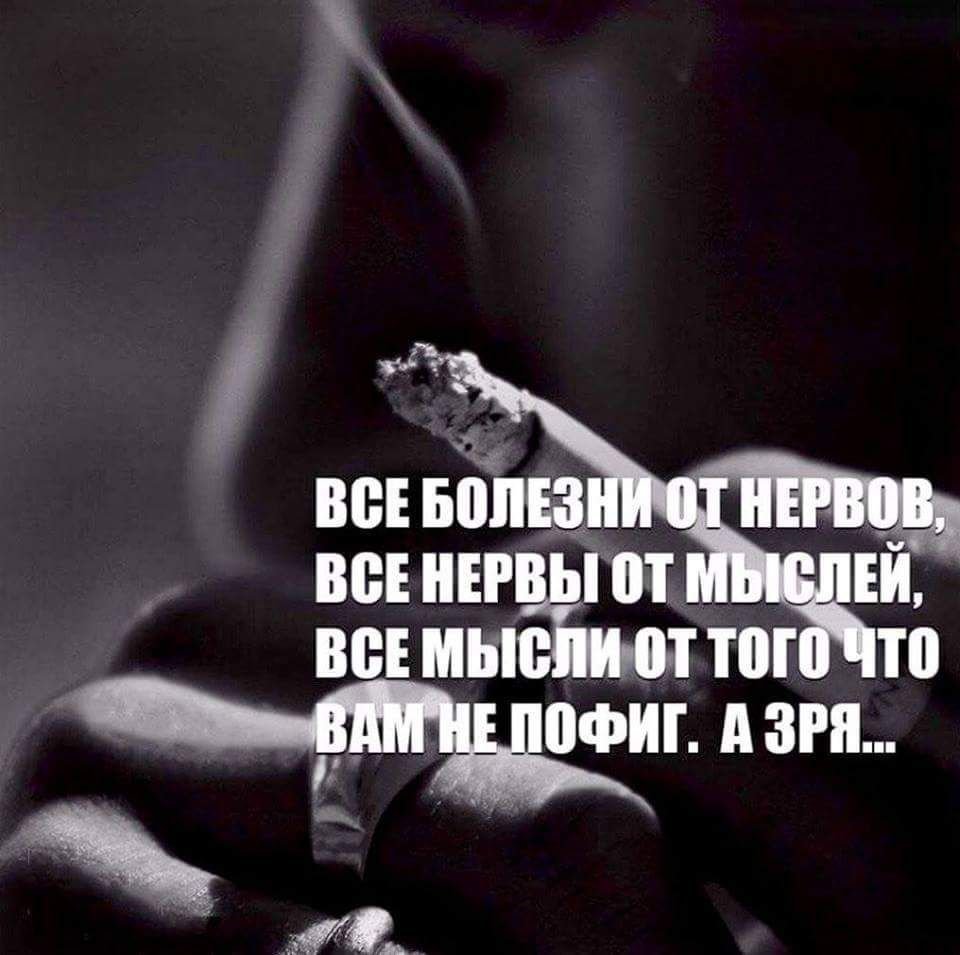 Шутки про красоту