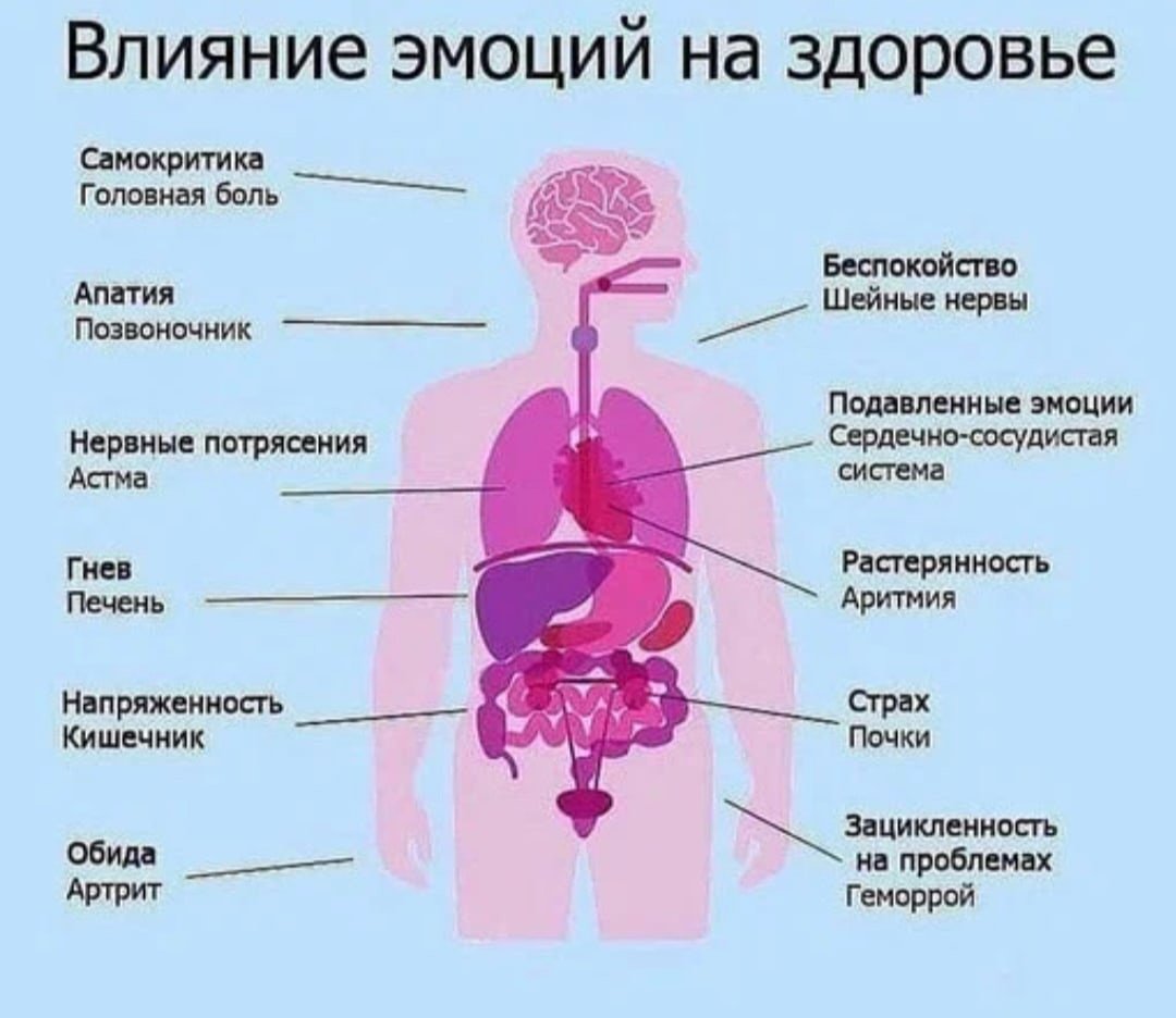 Самосоматика это