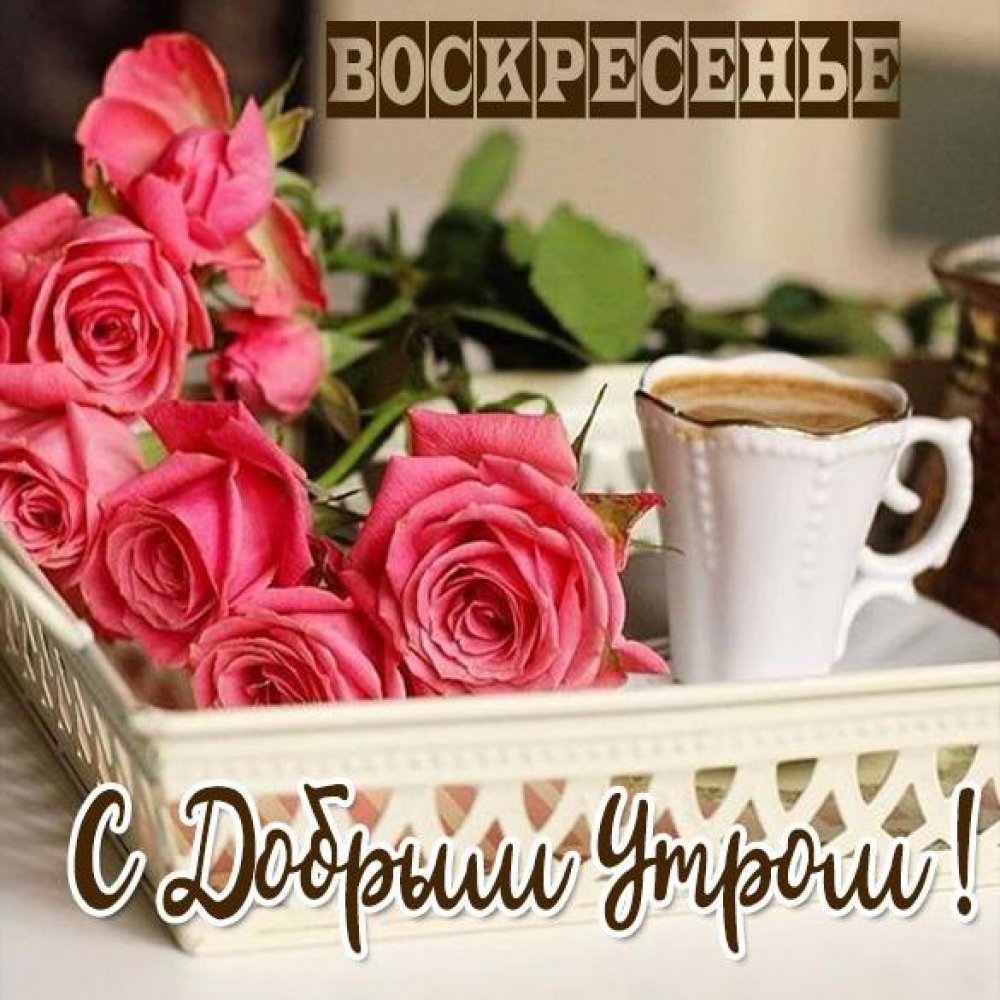 Открытки с добрым утром воскресенья