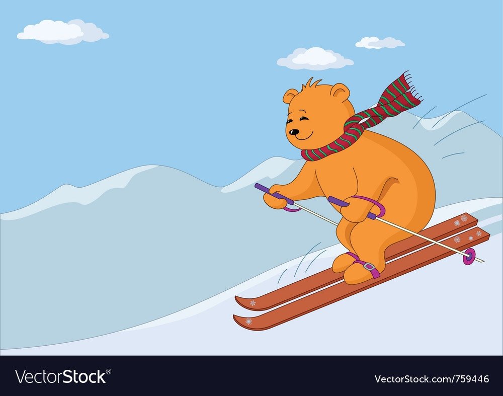 Медведь на лыжах