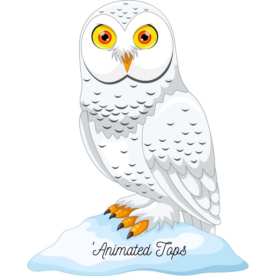 Мультяшные белые Совы