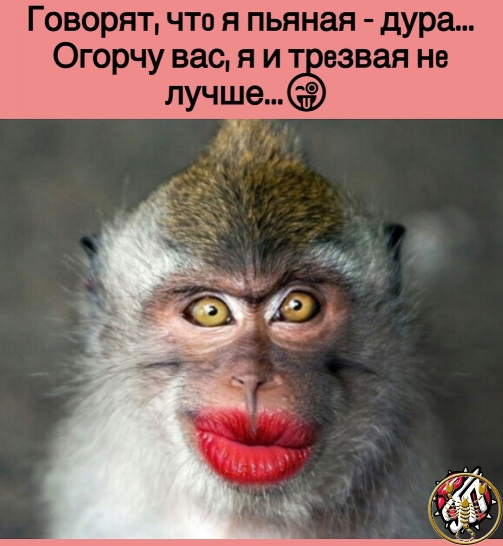 Обезьяна девочка