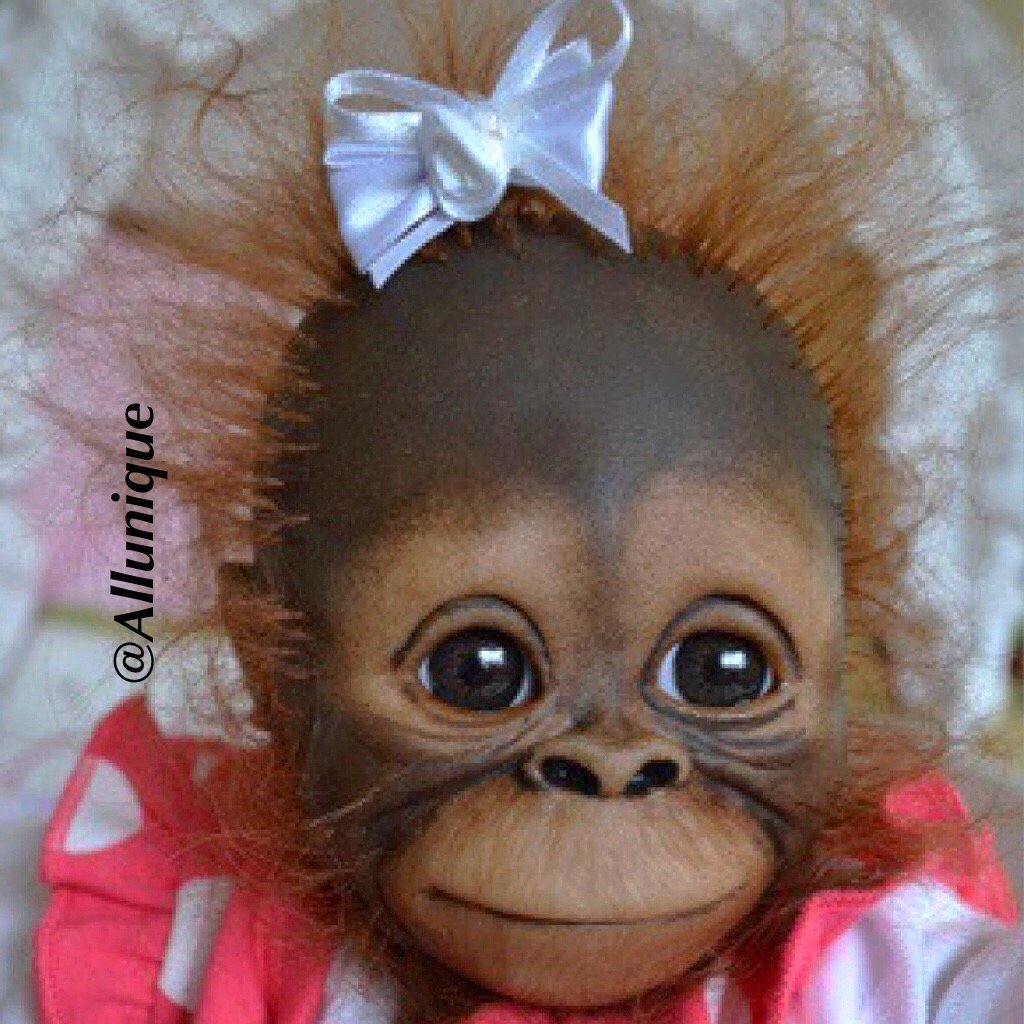 Накрашенная обезьяна