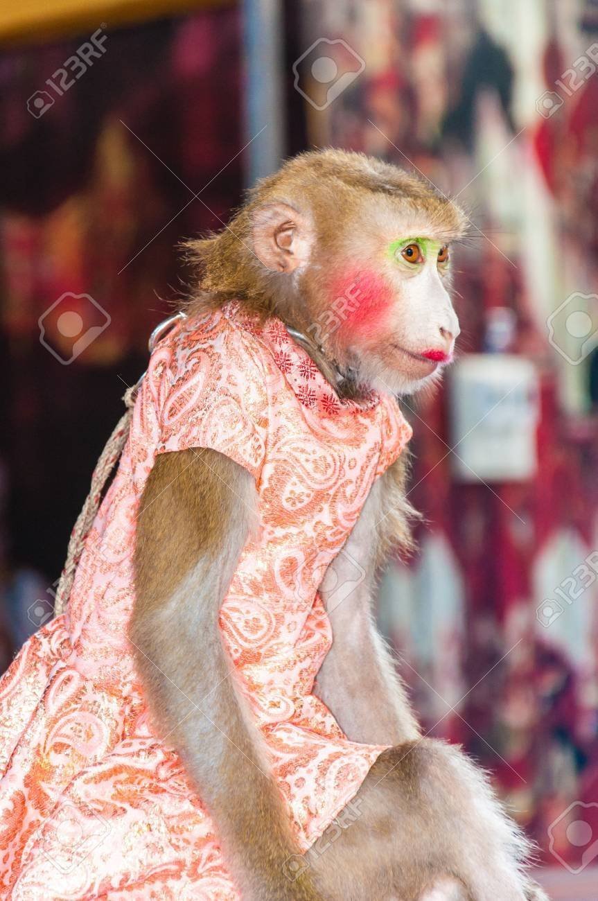 Абеяны с большими губами