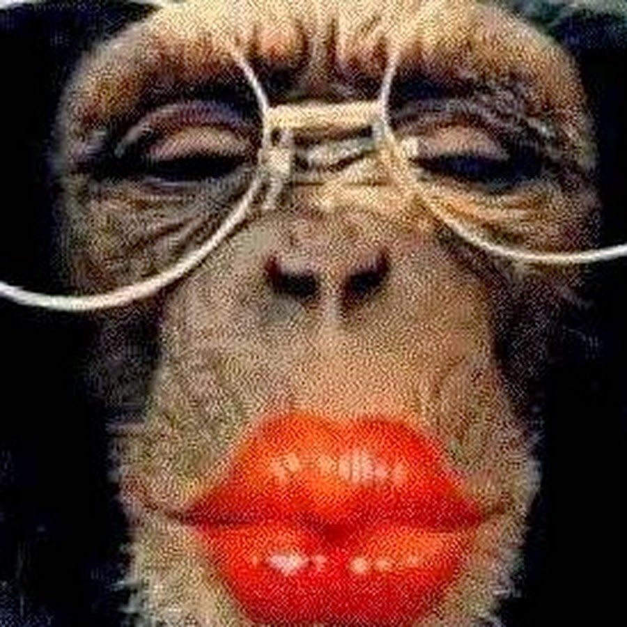 Накрашенная обезьяна с собакой