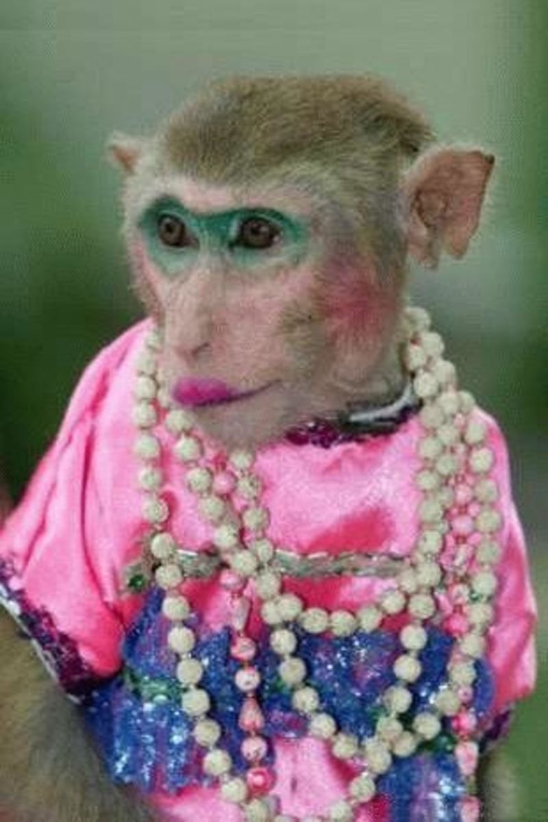 Накрашенная обезьянка