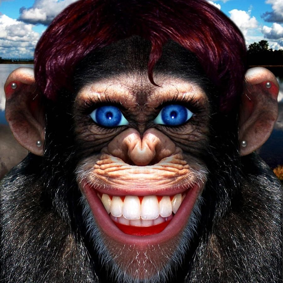 Накрашенная обезьяна