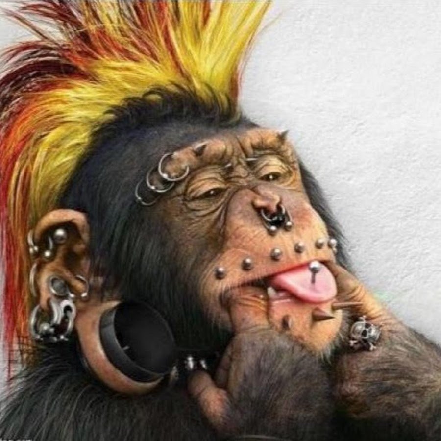 Новогодняя обезьянка