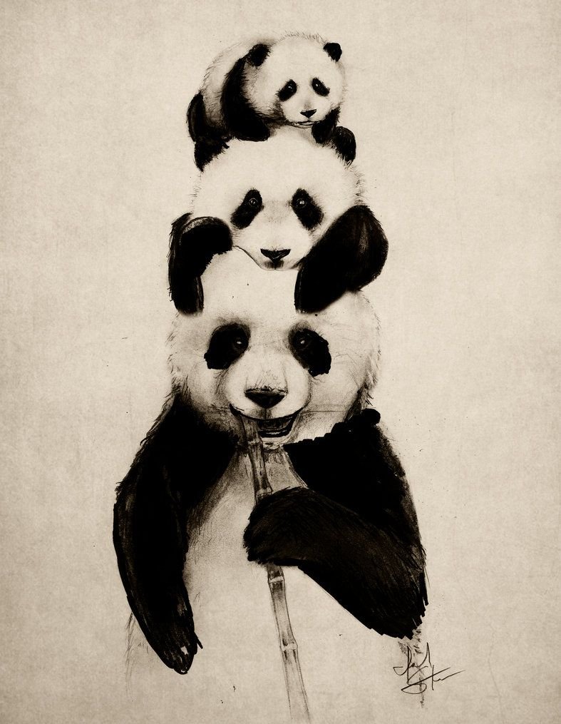 Вышивка хаски