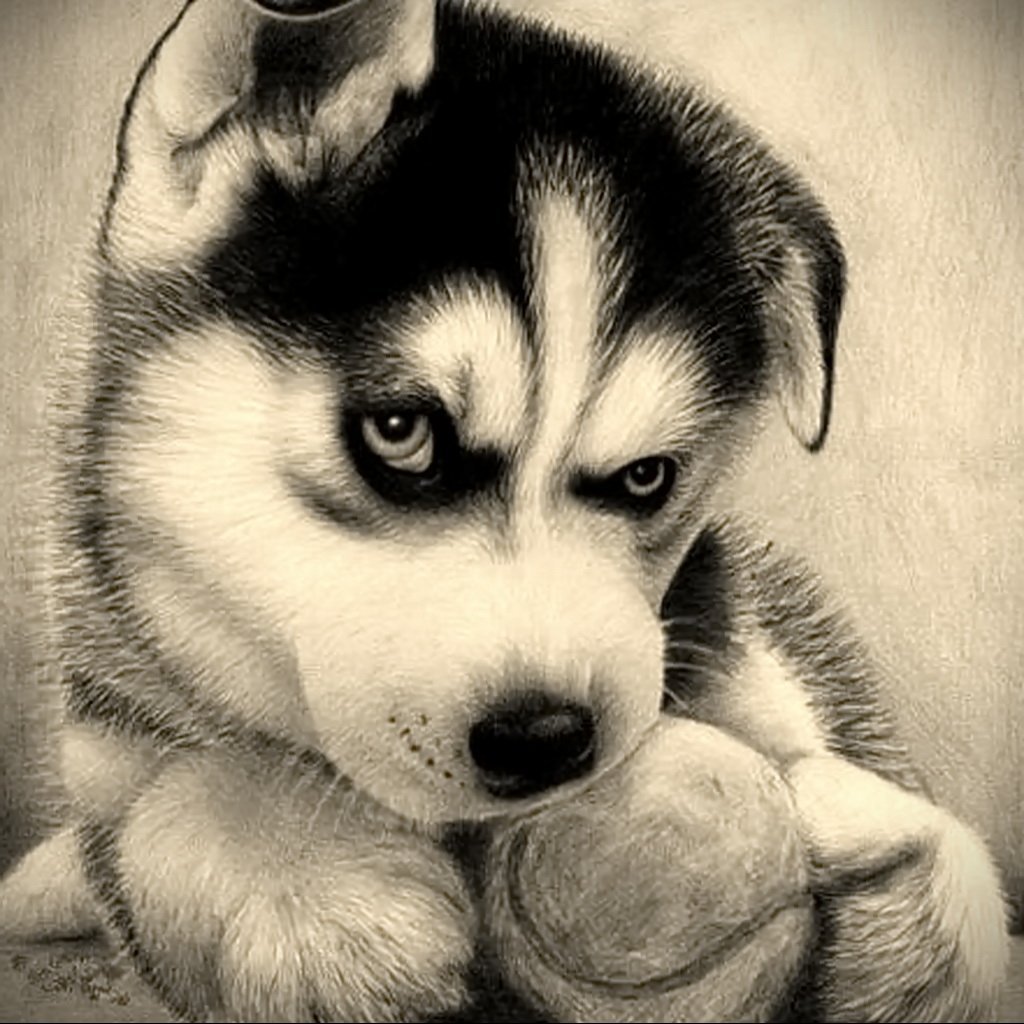 Пушин Кэт раскраска