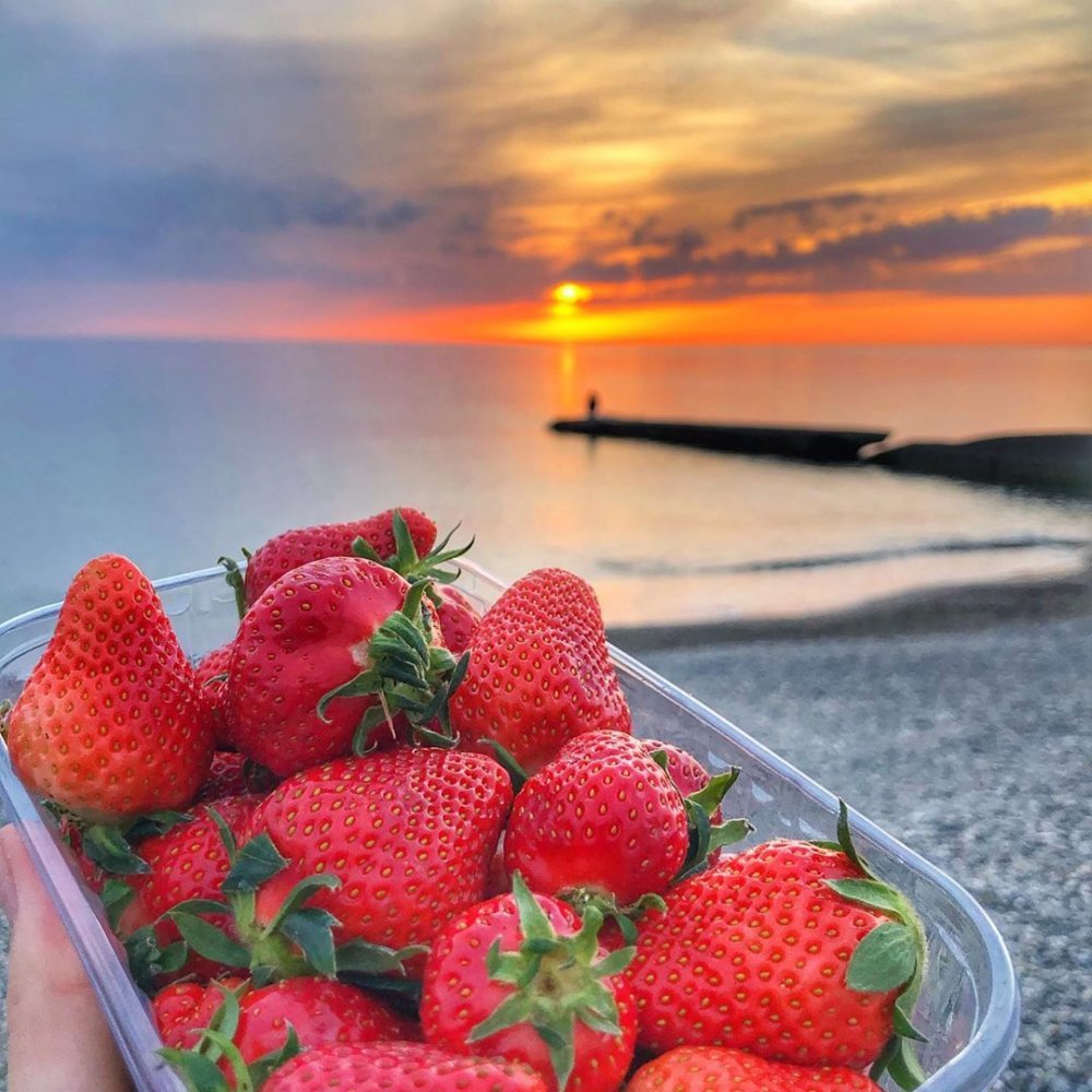 Море фрукты