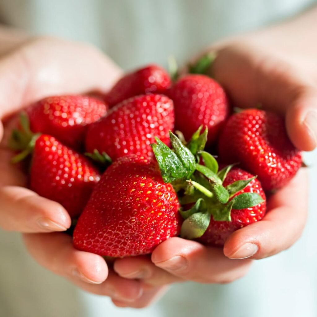 Земляника Королева Елизавета 2