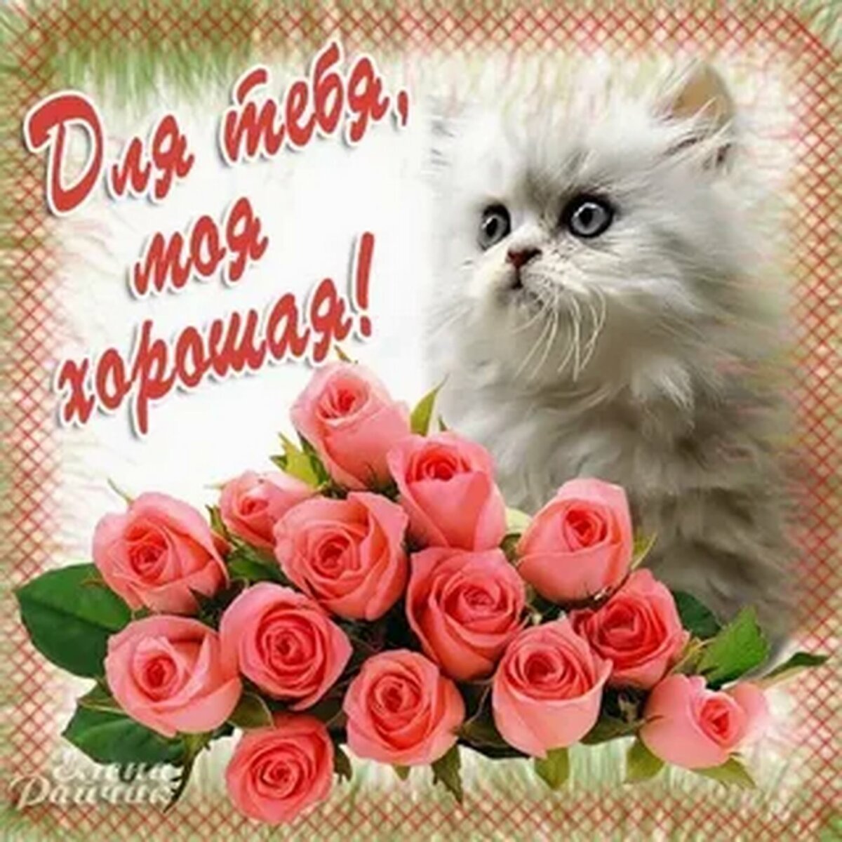 Цветы для Леночки