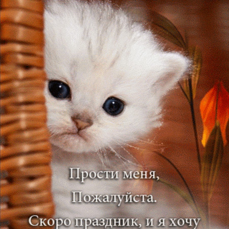 Прости пожалуйста