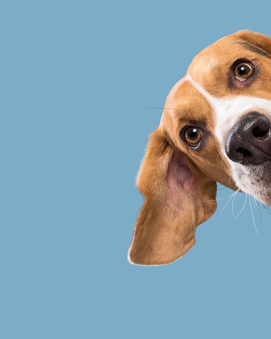 Давай мириться