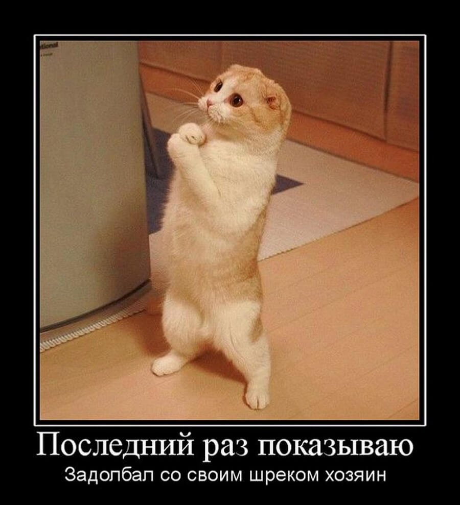 Приезжай скорее