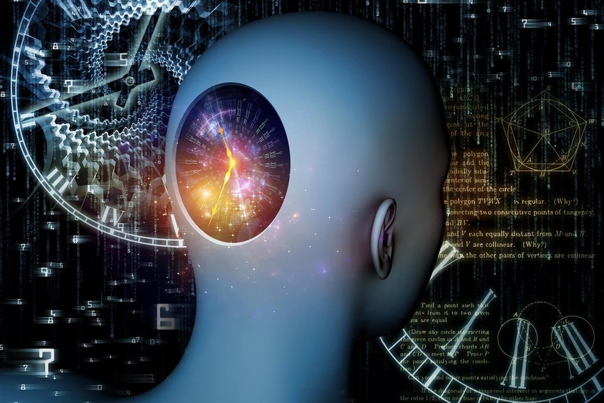 Биоритмы человека