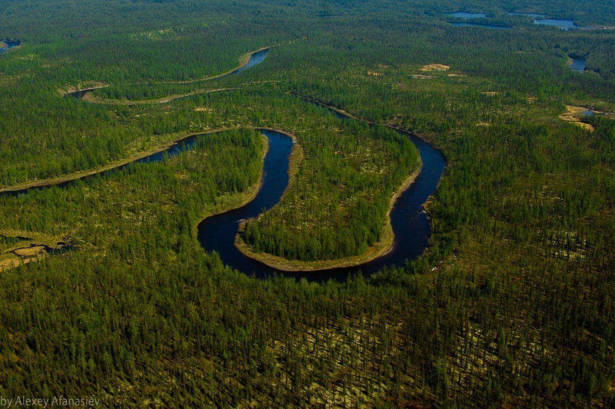 Река в тундре