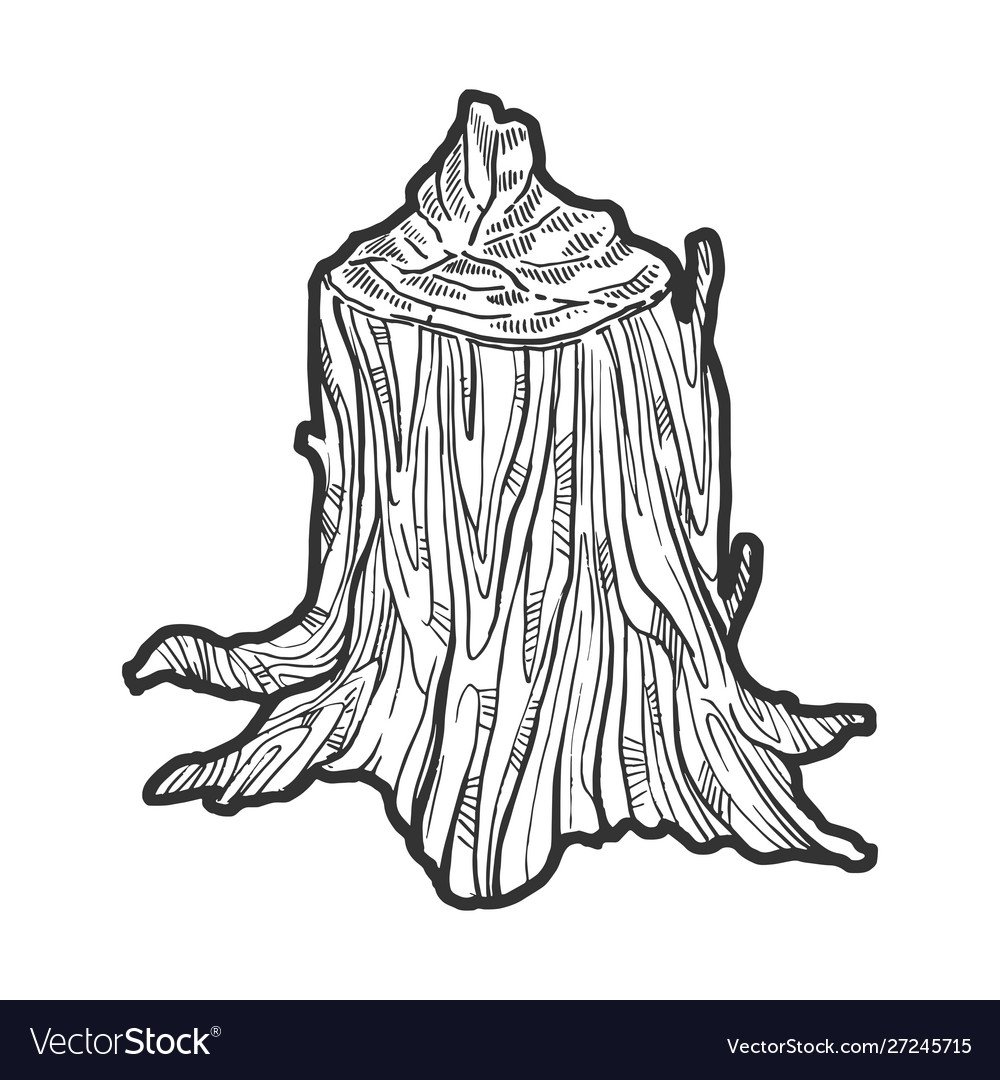 Пень карточка для детей