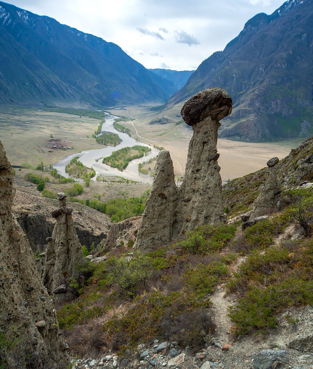 Долина Чулышмана каменные грибы