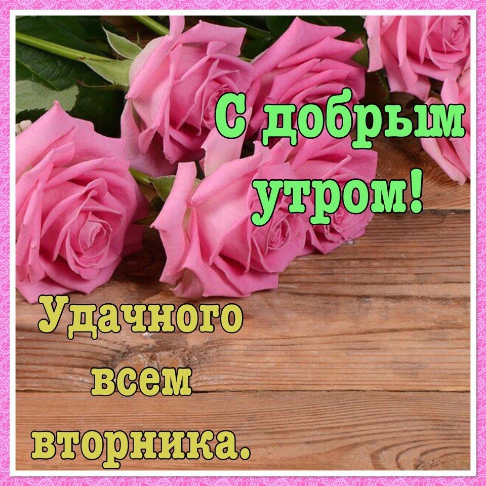Открытки с добрым утром вторника