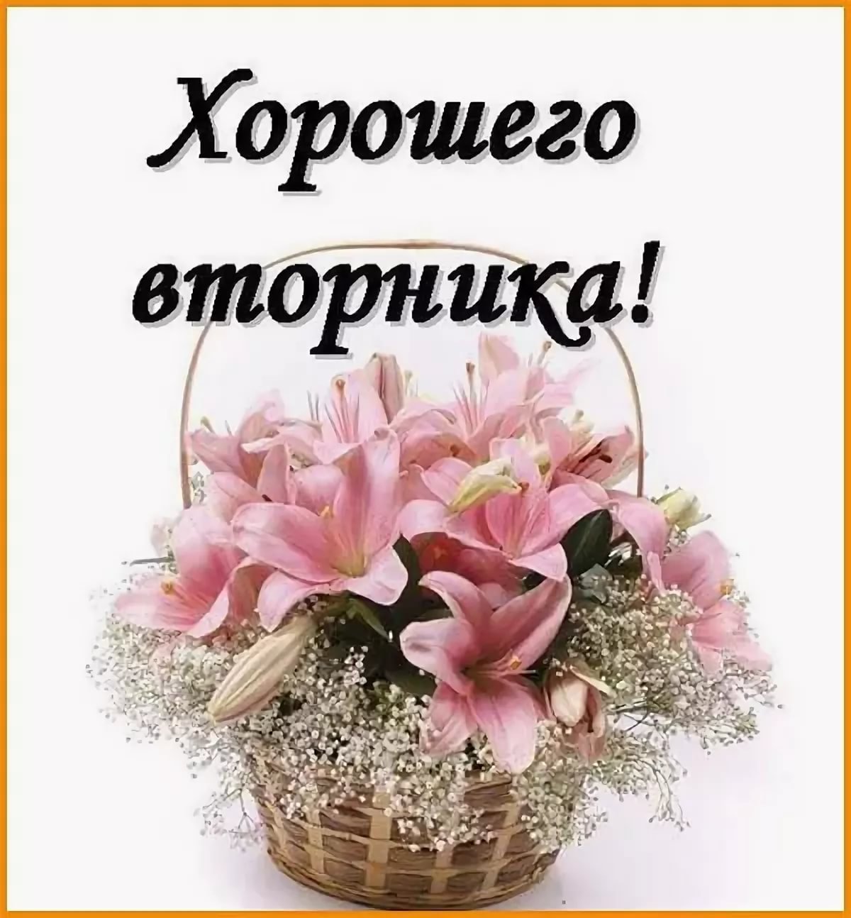 Хорошего вторника