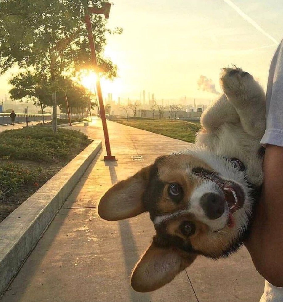 Картинки для поднятия настроения