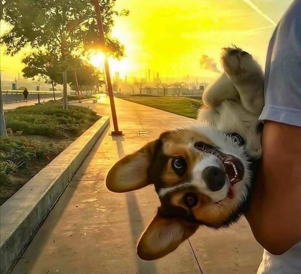 Коротко о современных девушках