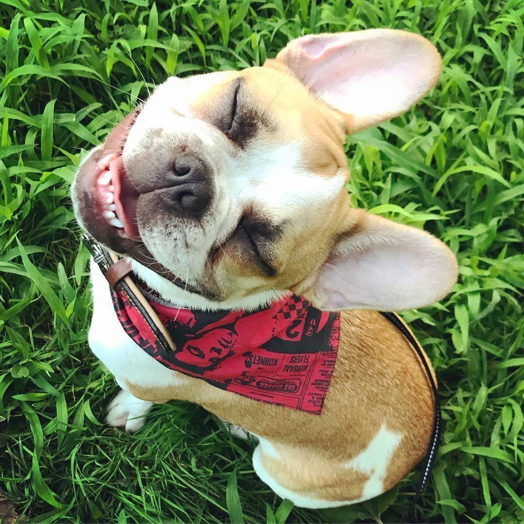 Картинки паднемаюшем настаени