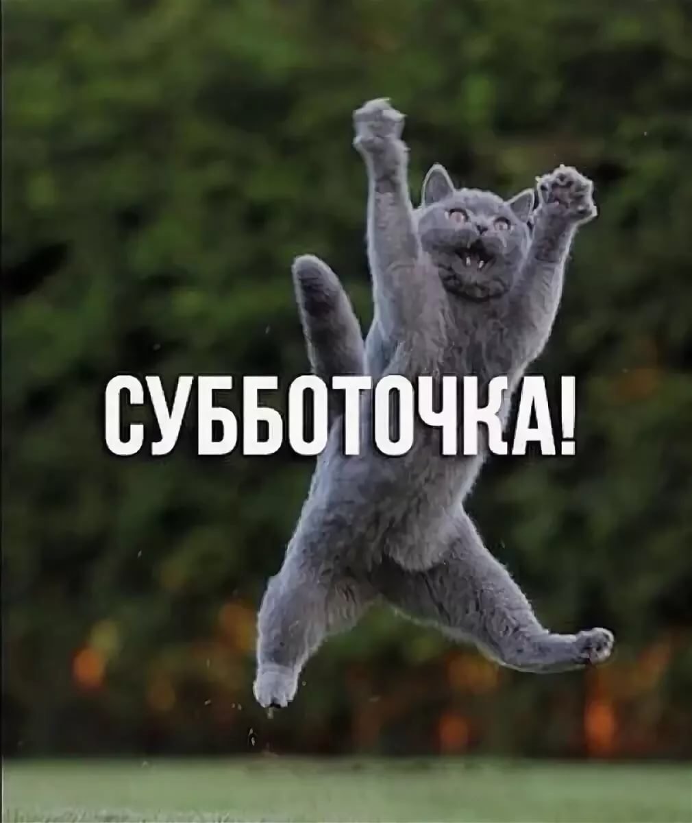 Кот Матроскин заработало