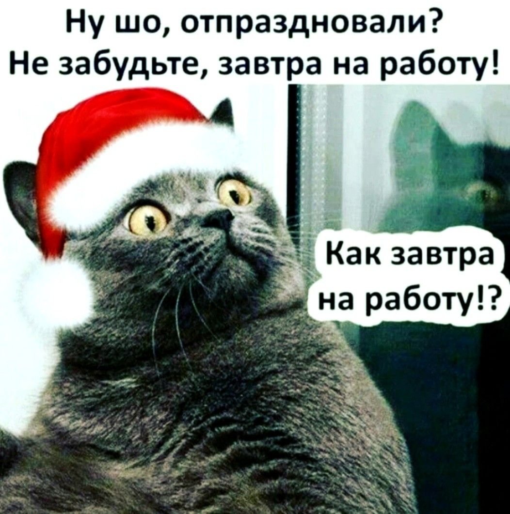 Я В отпуске