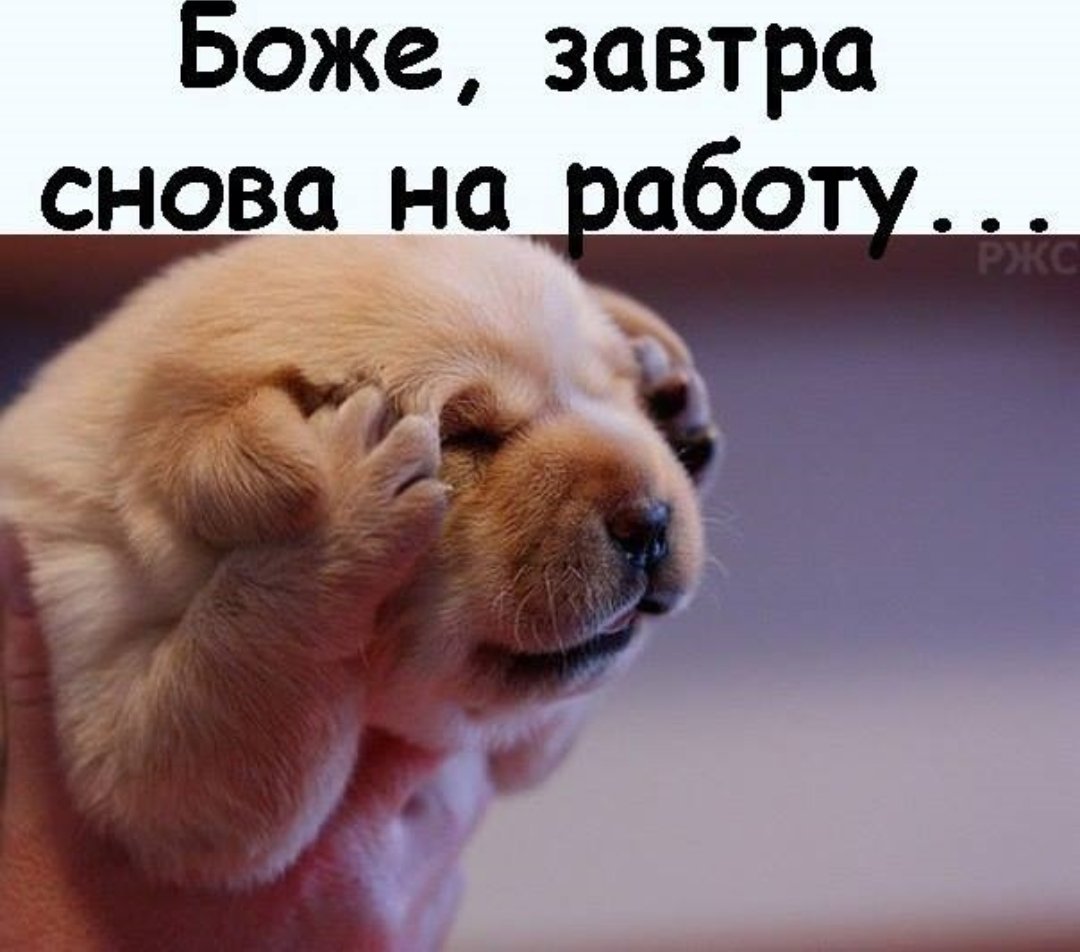 Опять на работу картинки